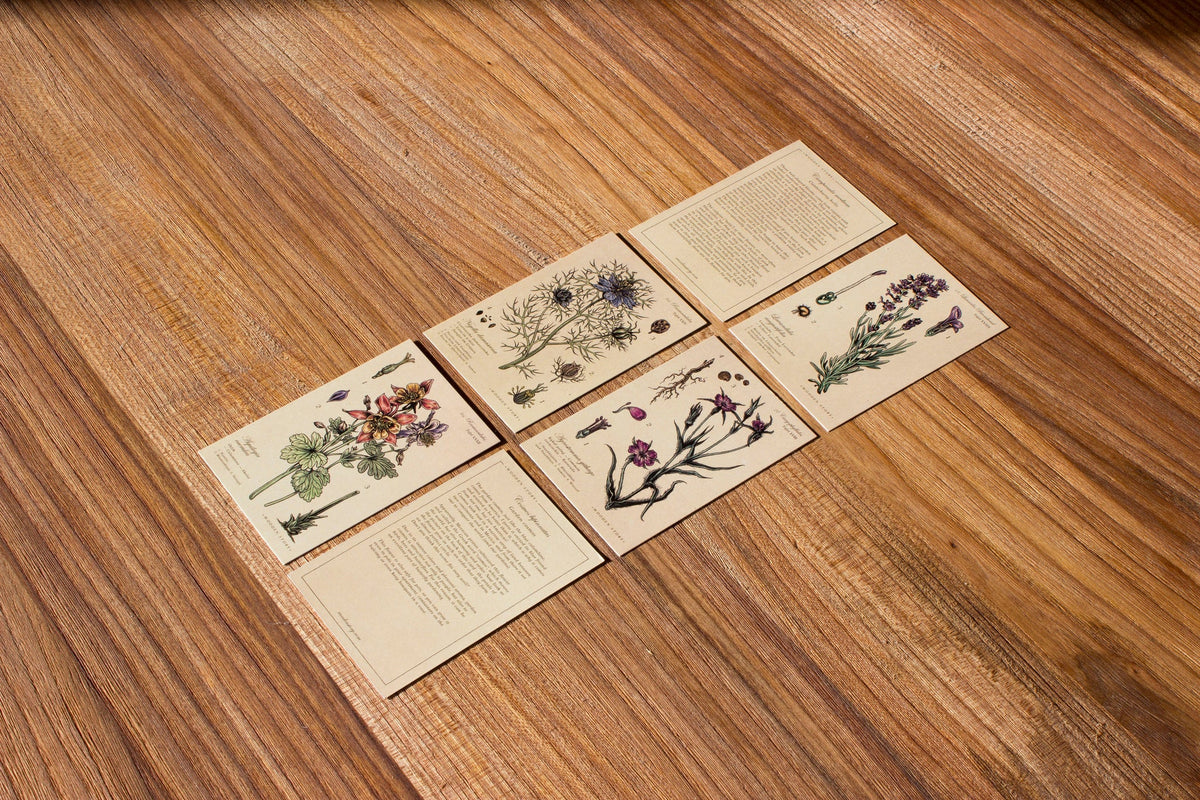 MELLIFEROUS PLANTS | WOODEN PUZZLE BLOCKS | — BY WOODEN STORY®