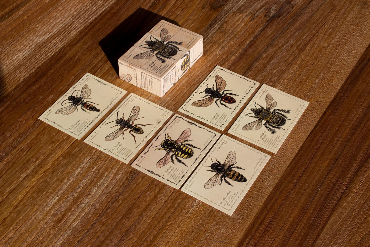 SPECIES OF BEES | WOODEN PUZZLE BLOCKS | — BY WOODEN STORY®