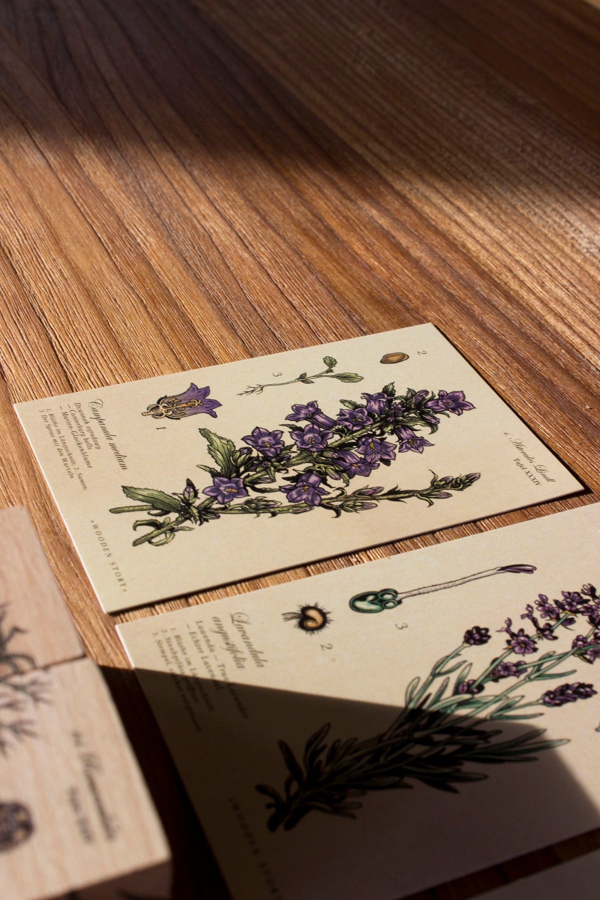 MELLIFEROUS PLANTS | WOODEN PUZZLE BLOCKS | — BY WOODEN STORY®