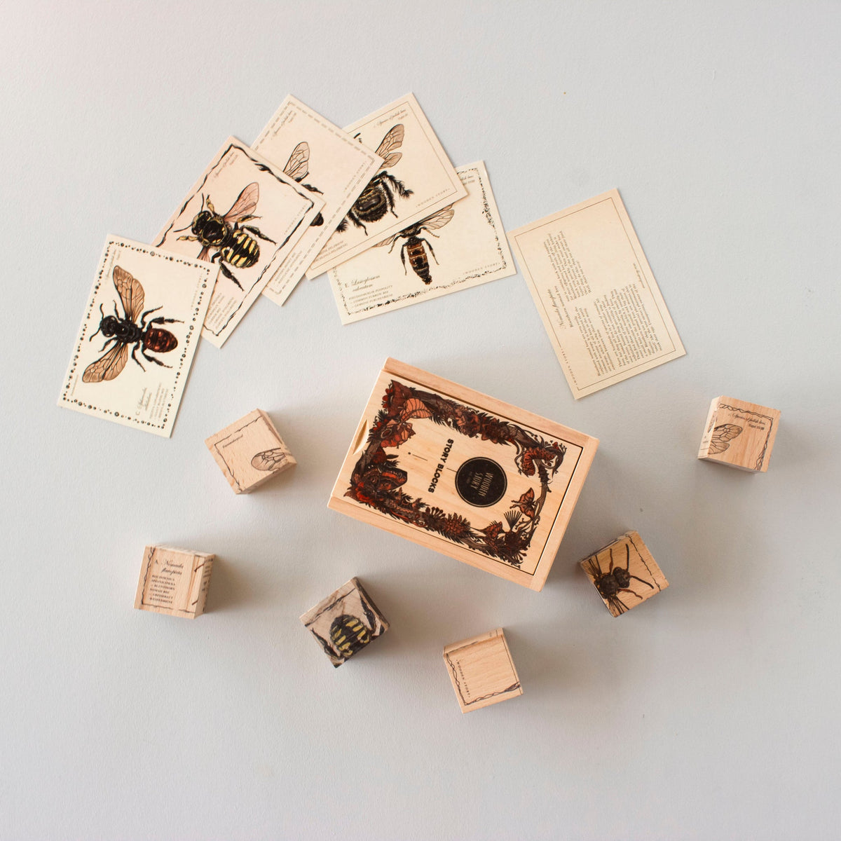 SPECIES OF BEES | WOODEN PUZZLE BLOCKS | — BY WOODEN STORY®
