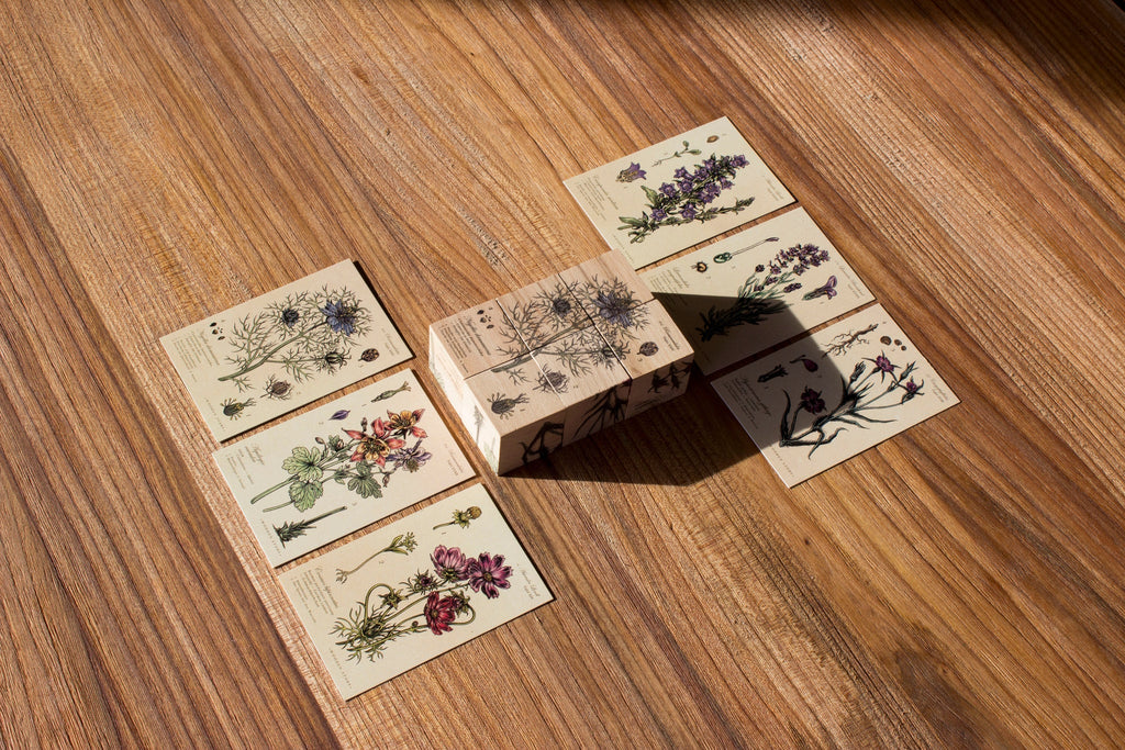 MELLIFEROUS PLANTS | WOODEN PUZZLE BLOCKS | — BY WOODEN STORY®