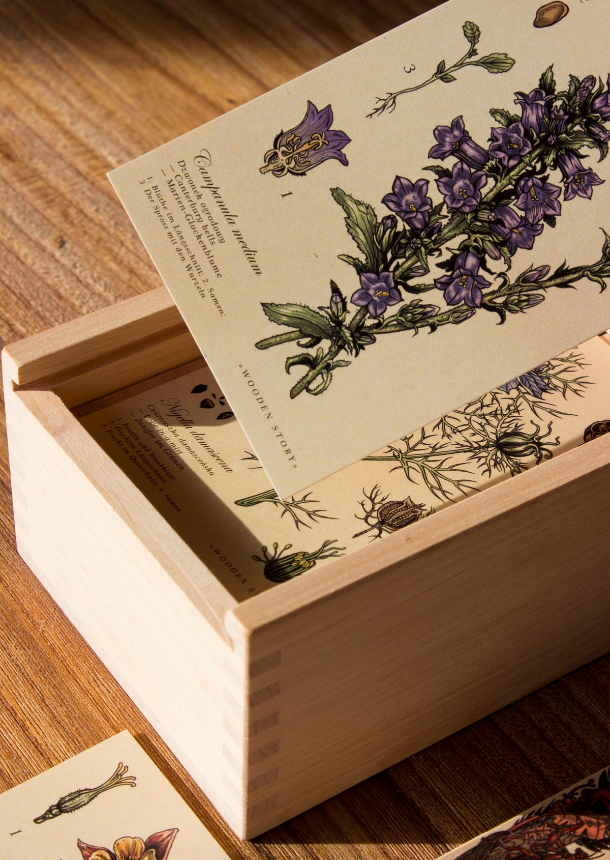 MELLIFEROUS PLANTS | WOODEN PUZZLE BLOCKS | — BY WOODEN STORY®