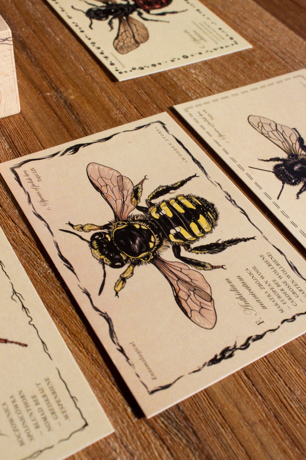 SPECIES OF BEES | WOODEN PUZZLE BLOCKS | — BY WOODEN STORY®