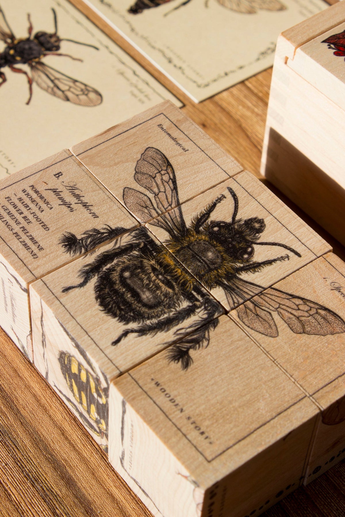SPECIES OF BEES | WOODEN PUZZLE BLOCKS | — BY WOODEN STORY®