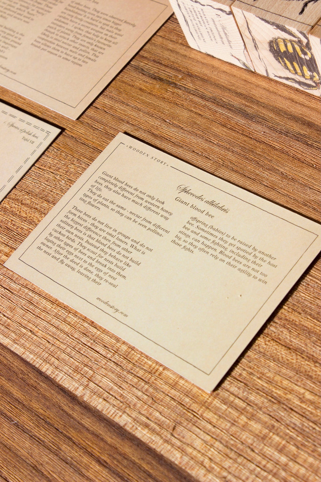 SPECIES OF BEES | WOODEN PUZZLE BLOCKS | — BY WOODEN STORY®